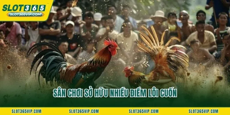 Sân chơi sở hữu nhiều điểm lôi cuốn